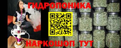 apvp Пушкино
