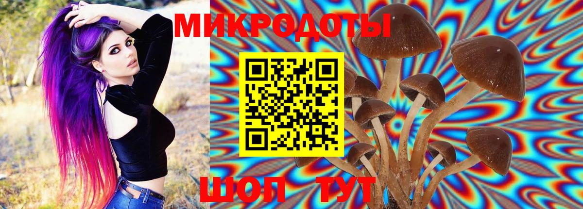 Галлюциногенные грибы Magic Shrooms Сафоново