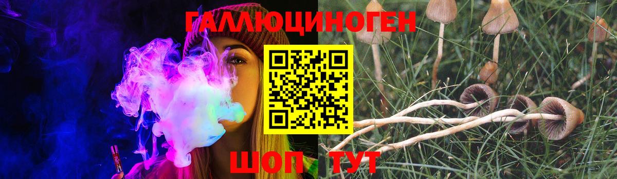 Сафоново  Галлюциногенные грибы Psilocybine cubensis  Вход с VPN 